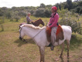Pantanal11