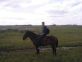 Pantanal12