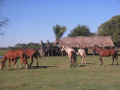 Pantanal14