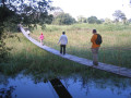 Pantanal4