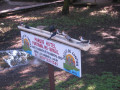 Pantanal5