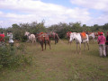 Pantanal7