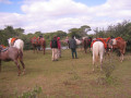Pantanal8