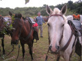 Pantanal9