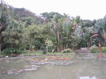 RioBotanicalGarden