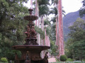 RioBotanicalGarden3