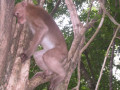 Kanchanaburi16