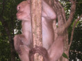 Kanchanaburi17