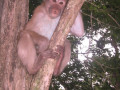 Kanchanaburi18