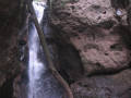 Pai3