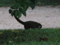 Mexico_034