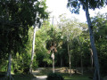 Mexico_049