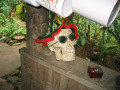 Mexico_100