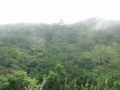 Tikal_Panorama_from_top_of_Pyramid