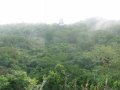 Tikal_Panorama_from_top_of_Pyramid