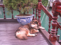 HalongBay32