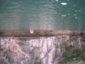 HalongBay36