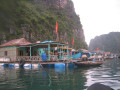 HalongBay48