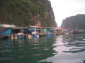 HalongBay50