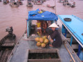 MekongDelta20