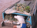 MekongDelta26
