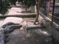 MekongDelta35