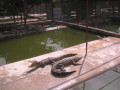 MekongDelta36