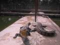 MekongDelta37