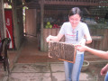 MekongDelta4