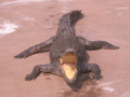 MekongDelta40